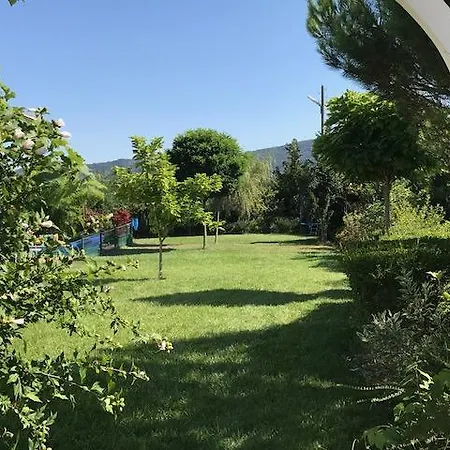 Vila Golden Set Velika